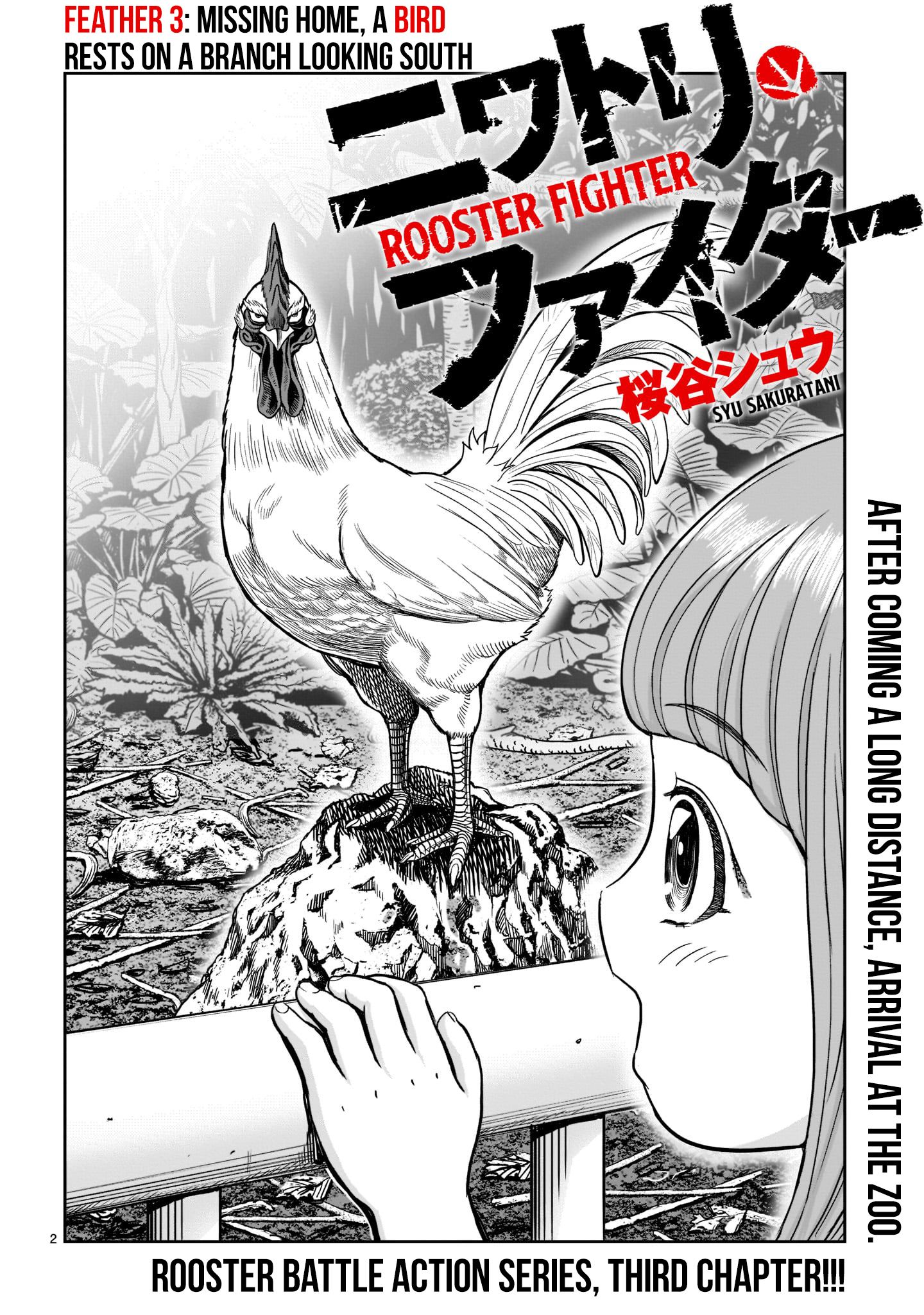 Rooster Fighter chapter 3 page 4