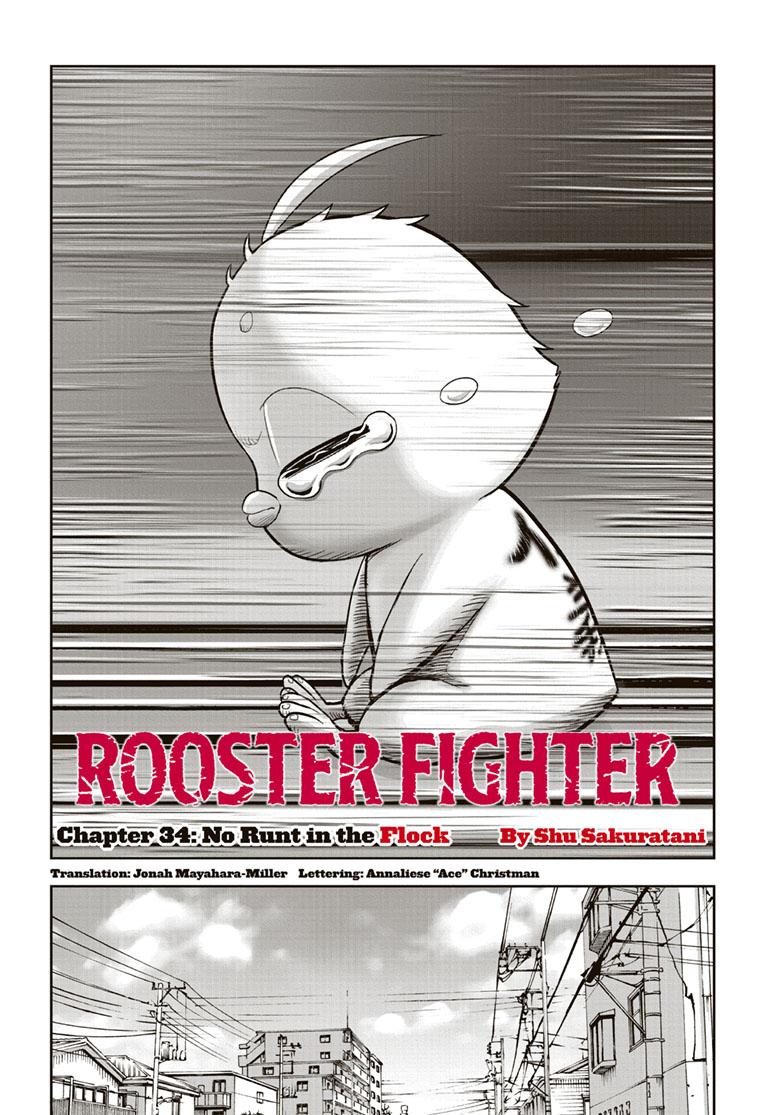 Rooster Fighter chapter 34 page 2