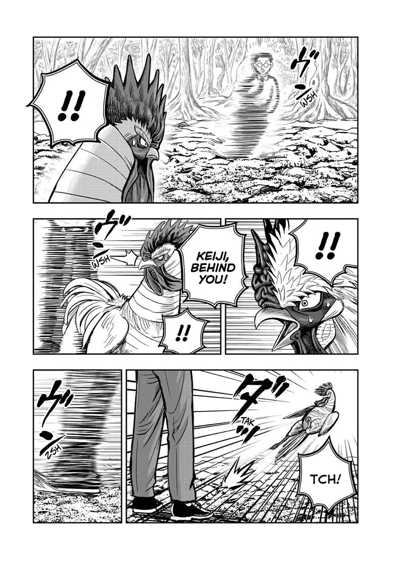 Rooster Fighter chapter 39 page 19