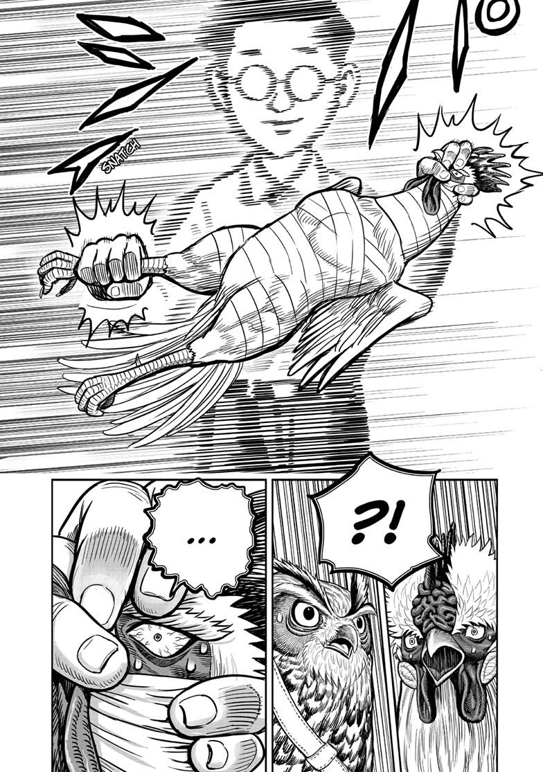 Rooster Fighter chapter 39 page 20