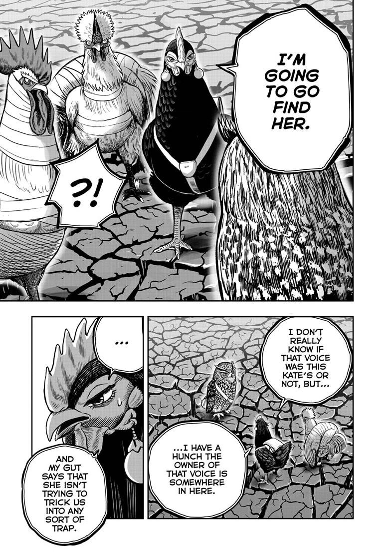 Rooster Fighter chapter 46 page 5