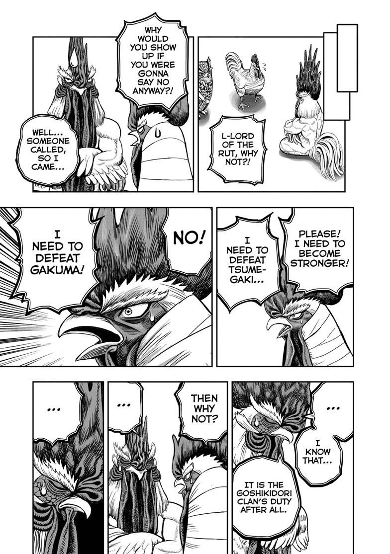 Rooster Fighter chapter 48 page 19