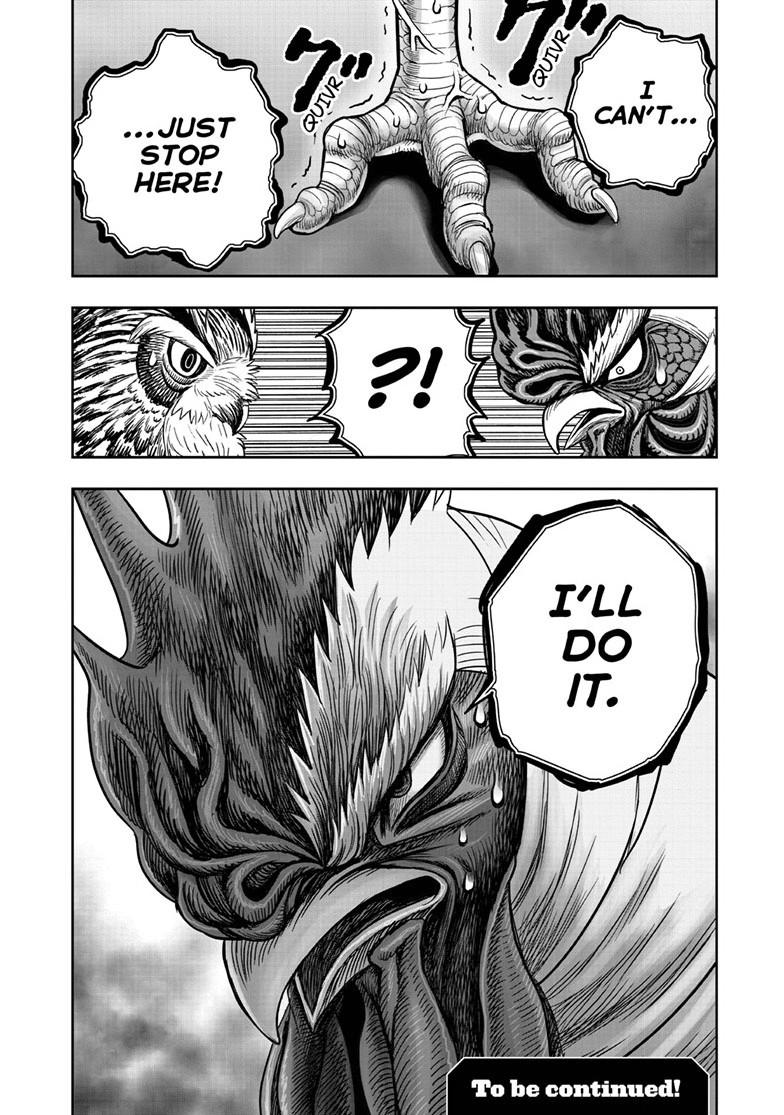 Rooster Fighter chapter 48 page 32