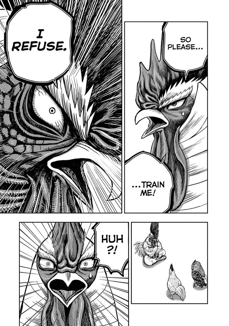 Rooster Fighter chapter 48 page 7