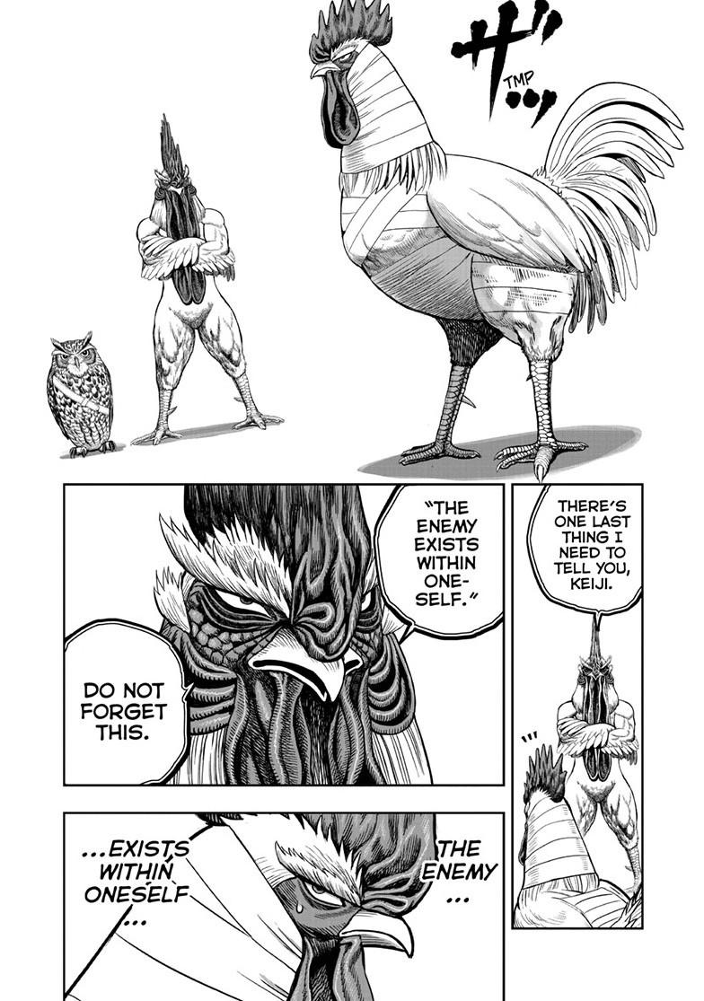 Rooster Fighter chapter 49 page 4