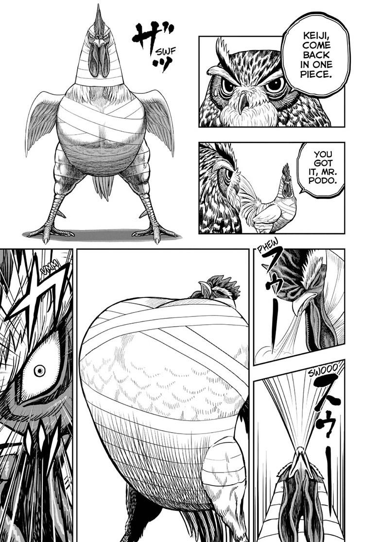 Rooster Fighter chapter 49 page 5
