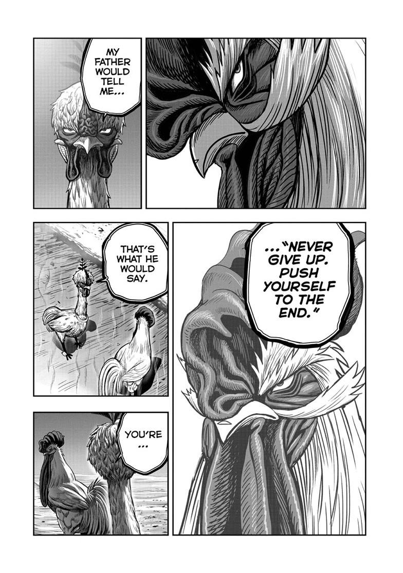 Rooster Fighter chapter 50 page 35