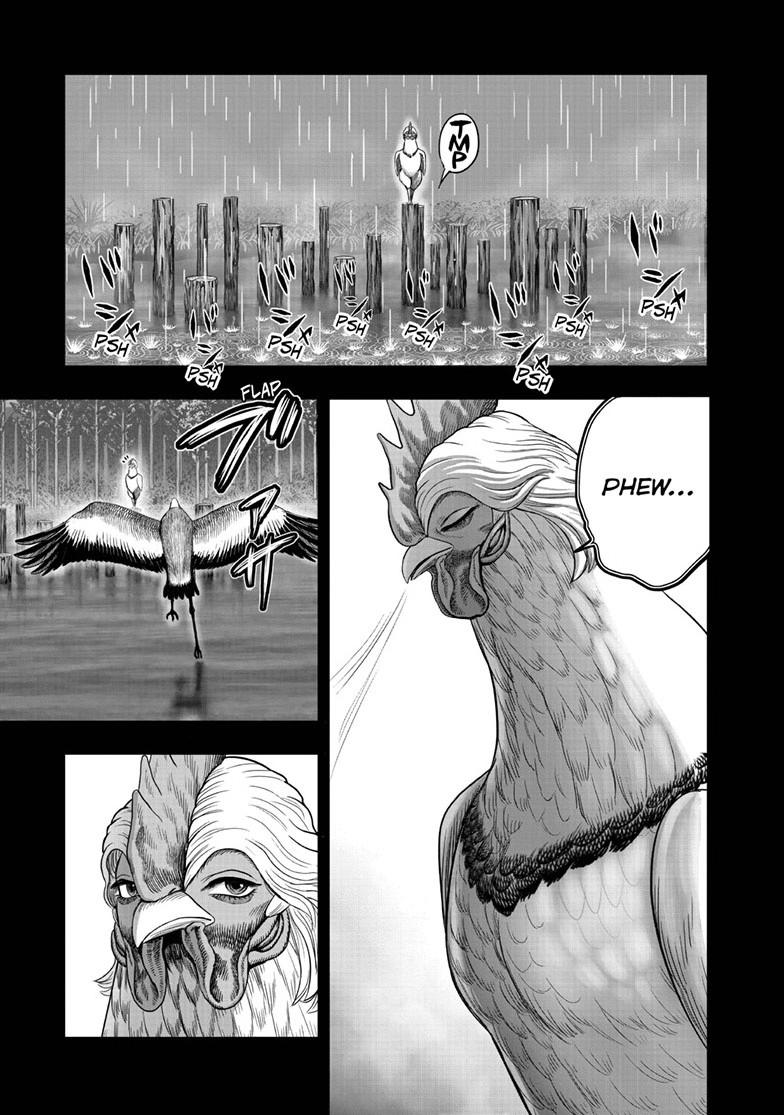 Rooster Fighter chapter 51 page 17