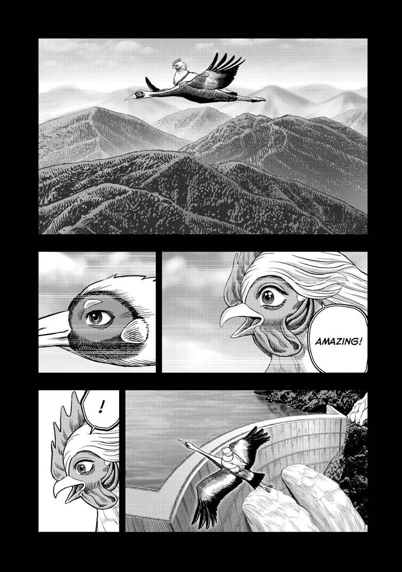 Rooster Fighter chapter 51 page 36