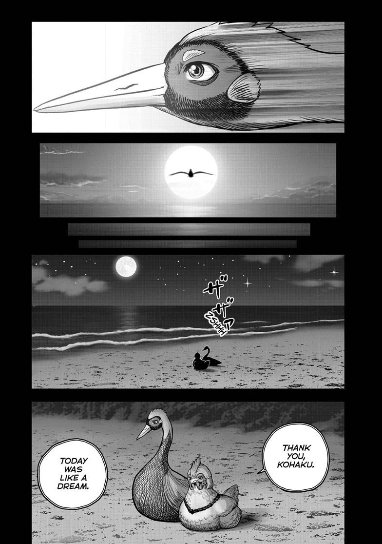 Rooster Fighter chapter 51 page 41