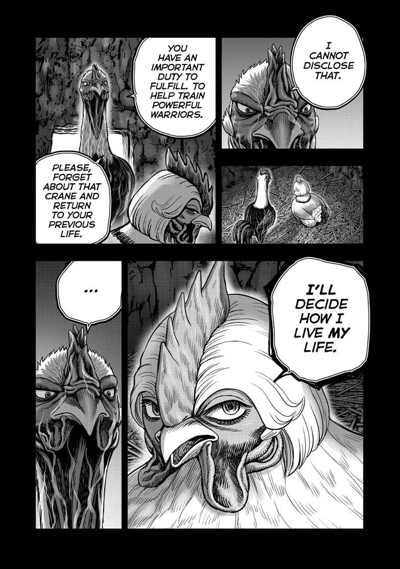Rooster Fighter chapter 53 page 5