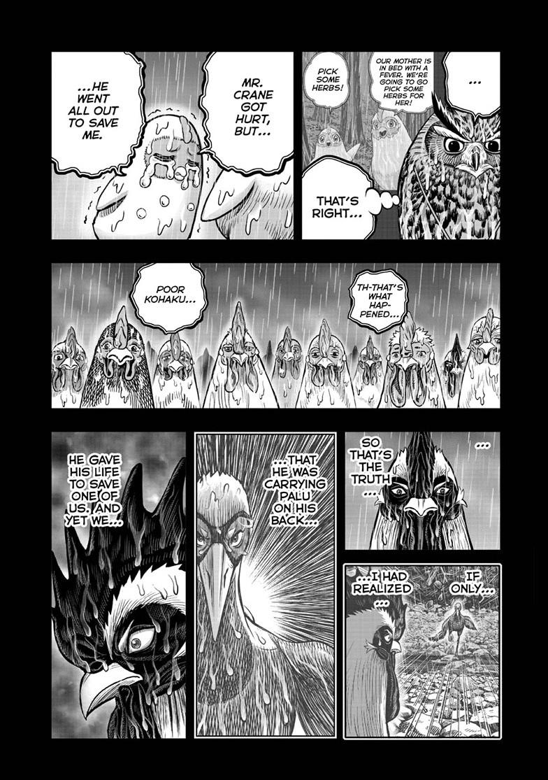 Rooster Fighter chapter 54 page 12