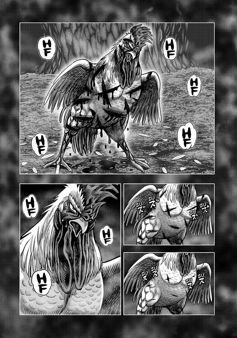 Rooster Fighter chapter 56 page 13