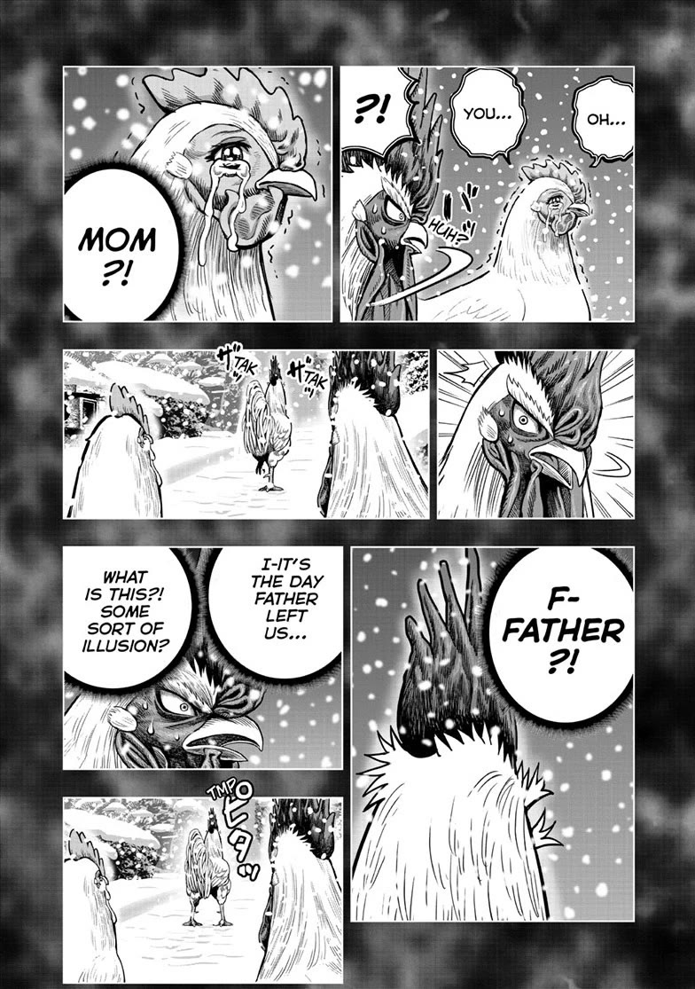 Rooster Fighter chapter 56 page 16