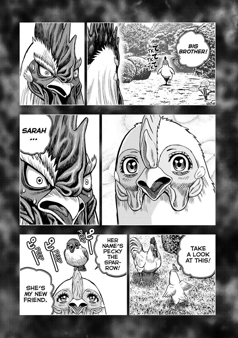 Rooster Fighter chapter 56 page 21