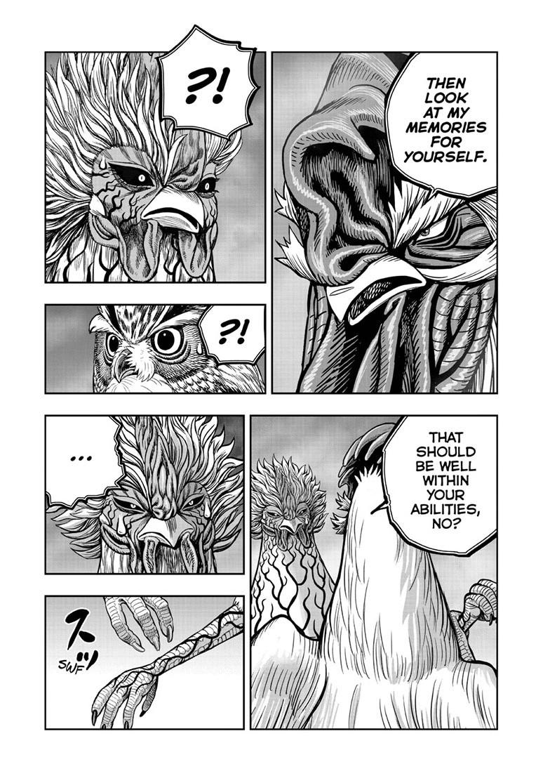 Rooster Fighter chapter 61.1 page 33
