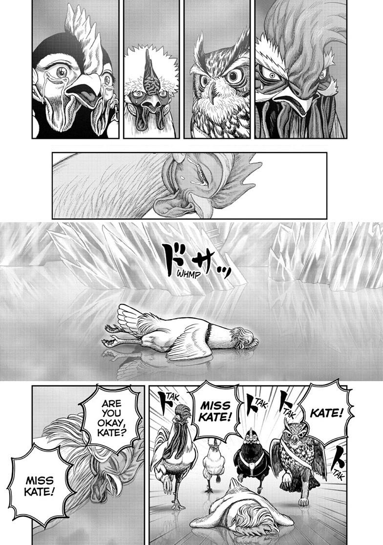 Rooster Fighter chapter 62.2 page 13
