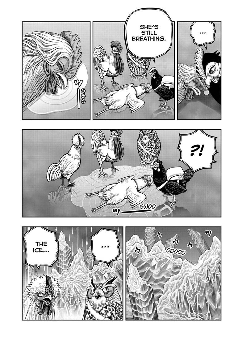 Rooster Fighter chapter 62.2 page 14