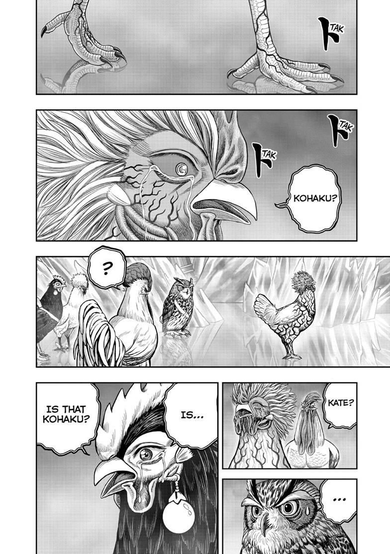 Rooster Fighter chapter 62.2 page 8