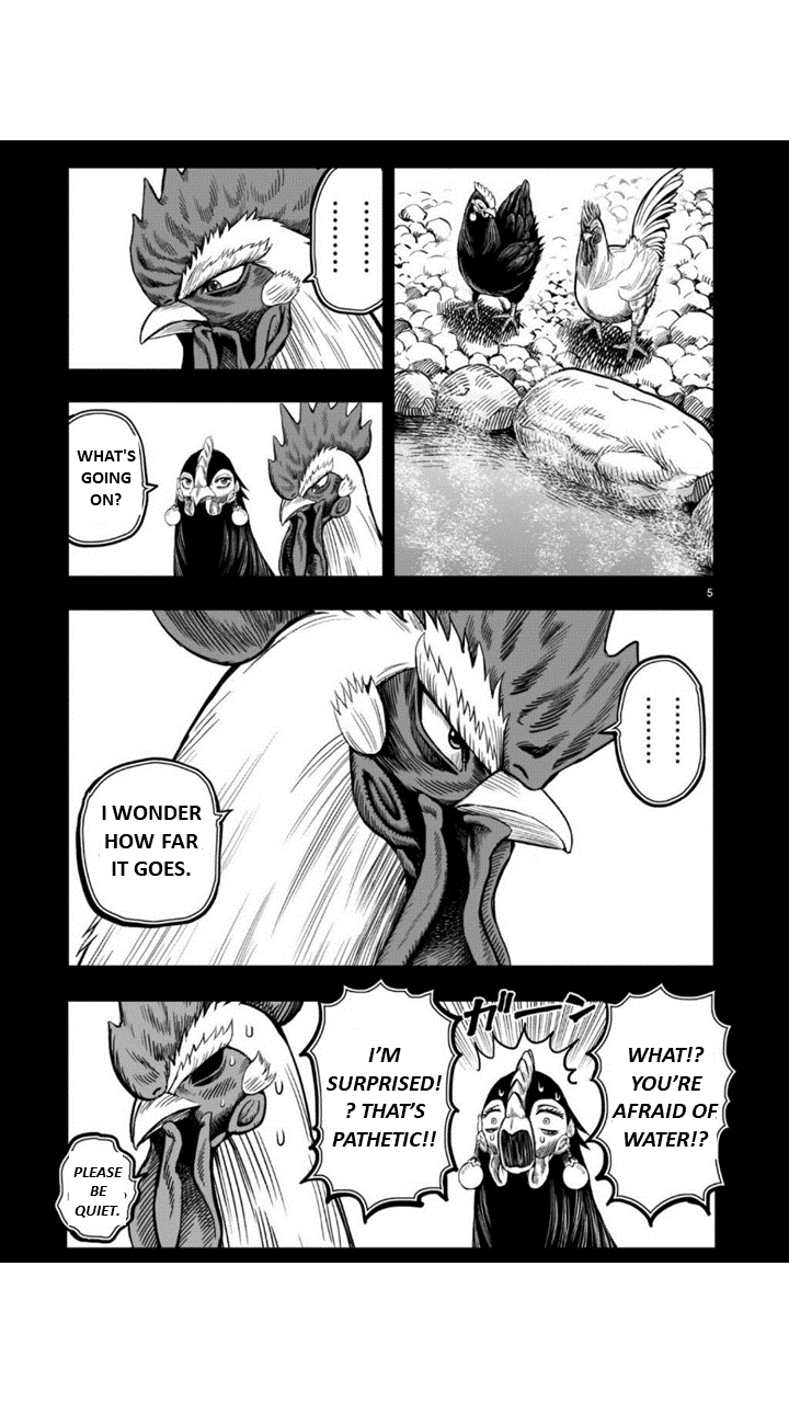 Rooster Fighter chapter 8 page 5