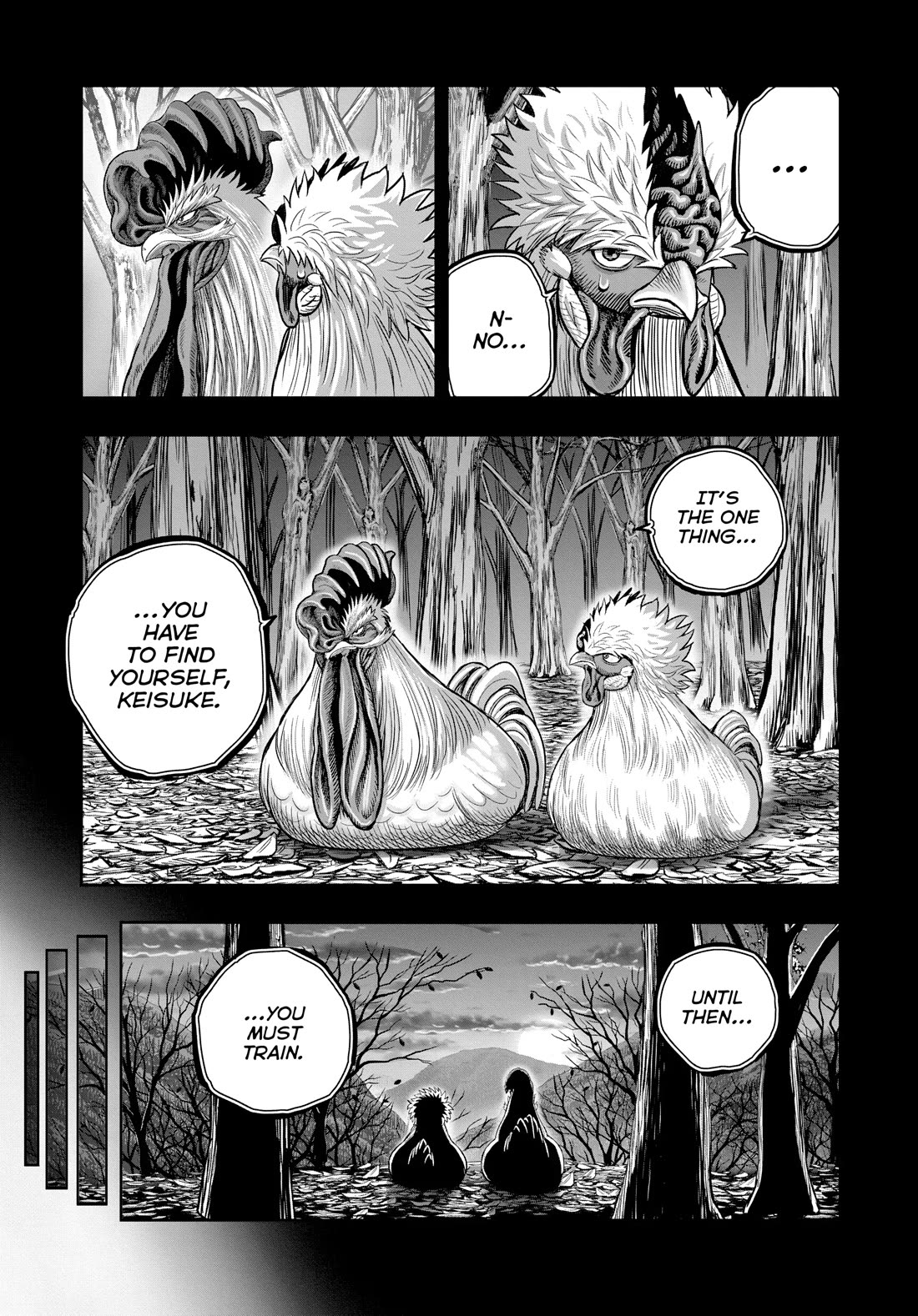 Rooster Fighter chapter 27 page 17