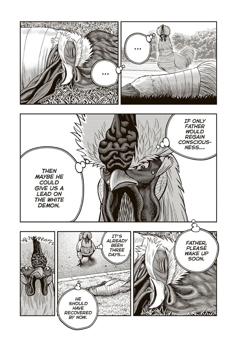 Rooster Fighter chapter 34 page 13
