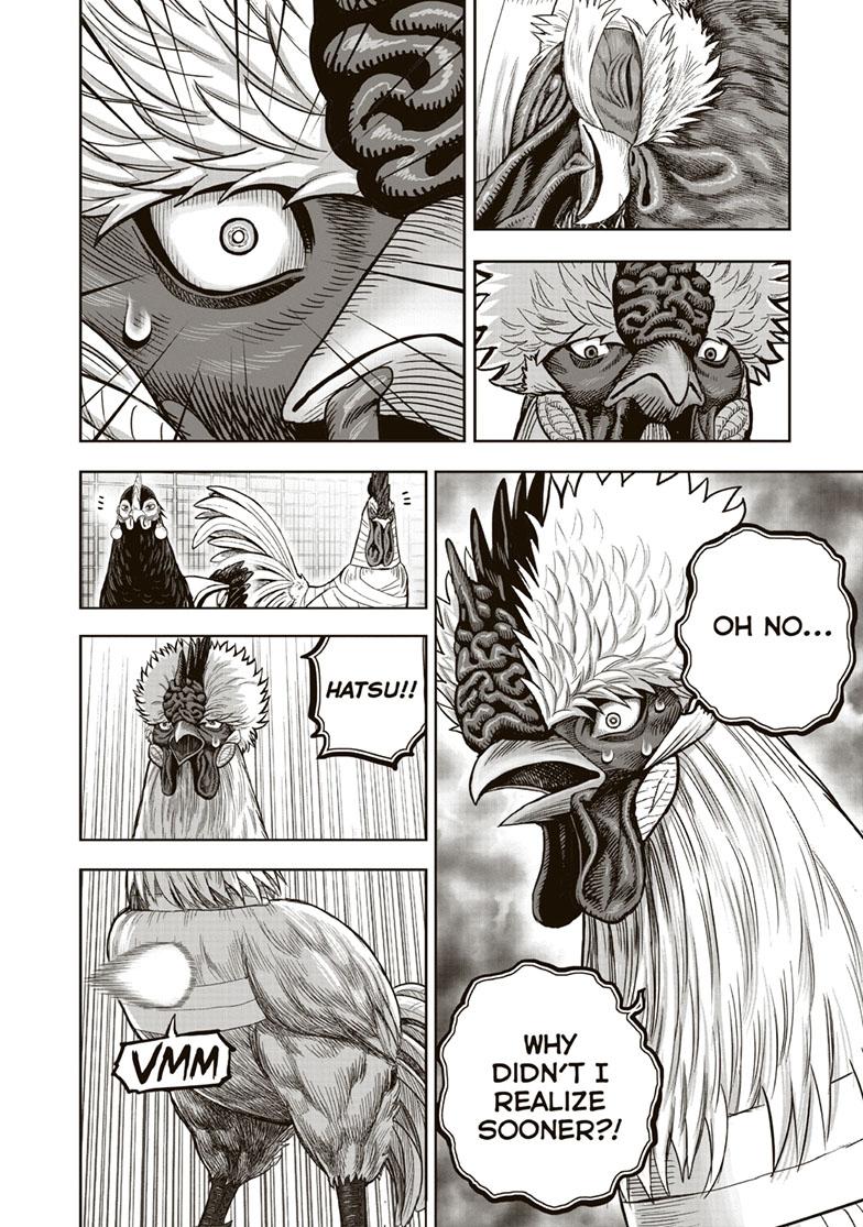Rooster Fighter chapter 34 page 14