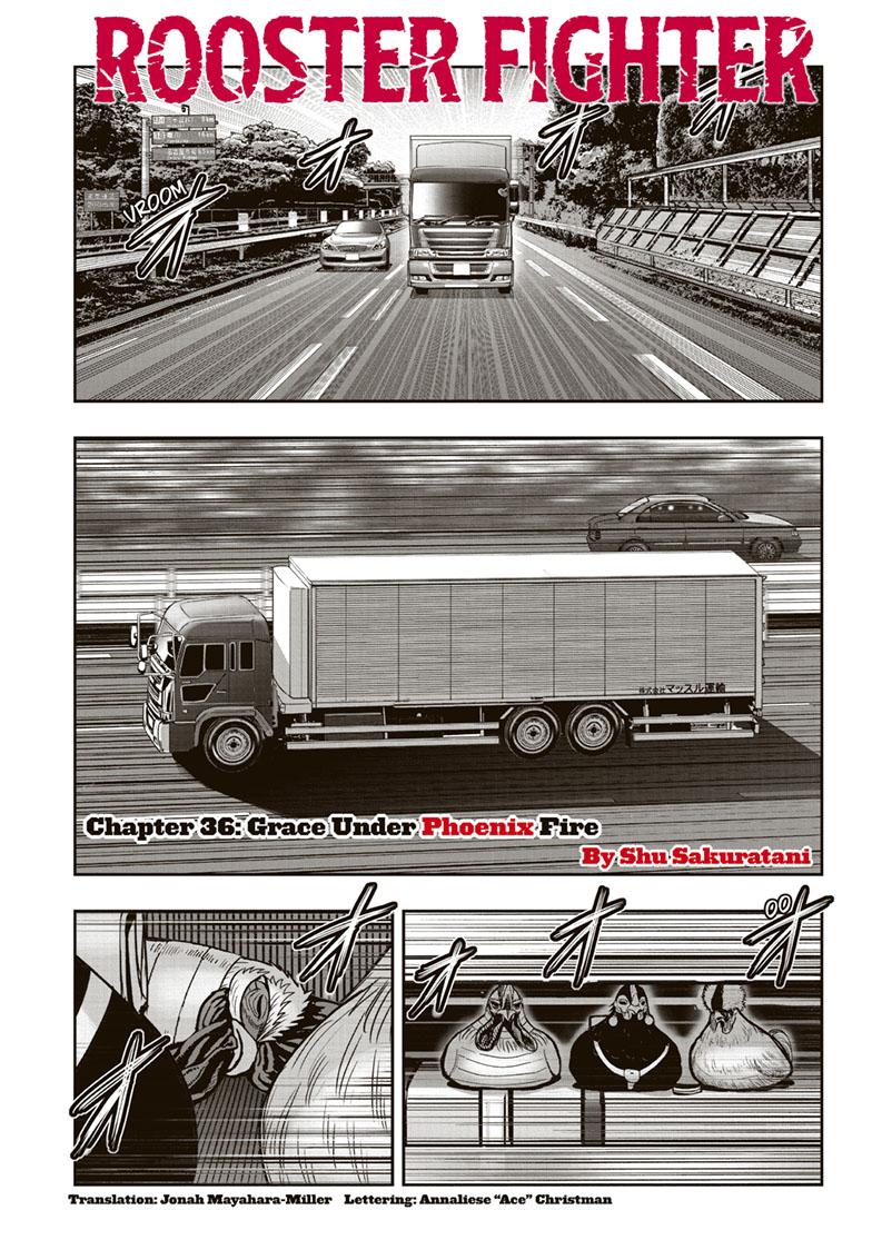 Rooster Fighter chapter 36 page 1
