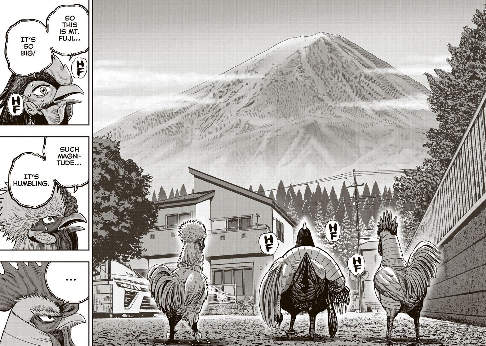 Rooster Fighter chapter 36 page 16