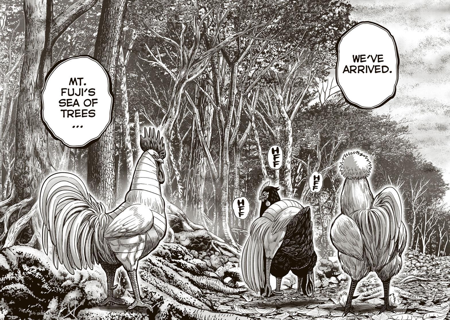 Rooster Fighter chapter 36 page 23