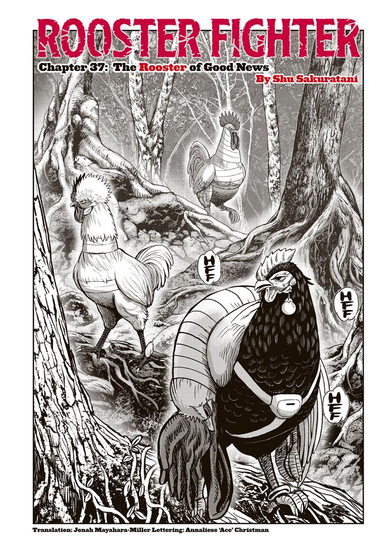 Rooster Fighter chapter 37 page 1