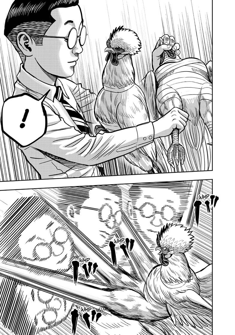 Rooster Fighter chapter 39 page 23