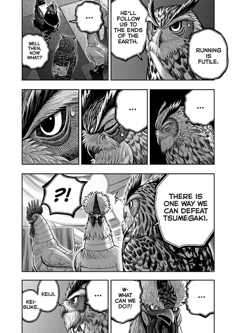 Rooster Fighter chapter 41 page 22