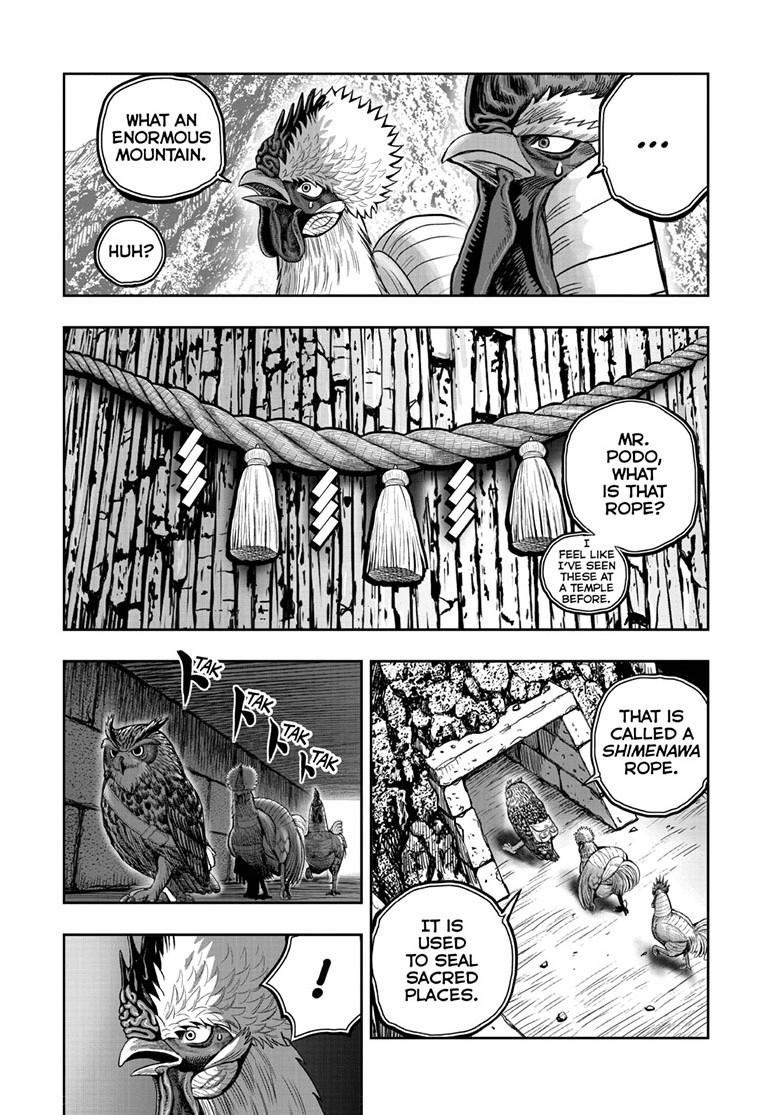 Rooster Fighter chapter 46 page 15