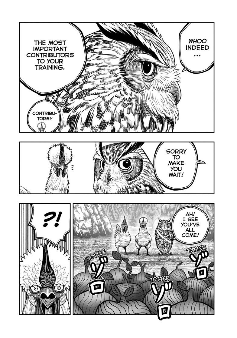 Rooster Fighter chapter 46 page 31