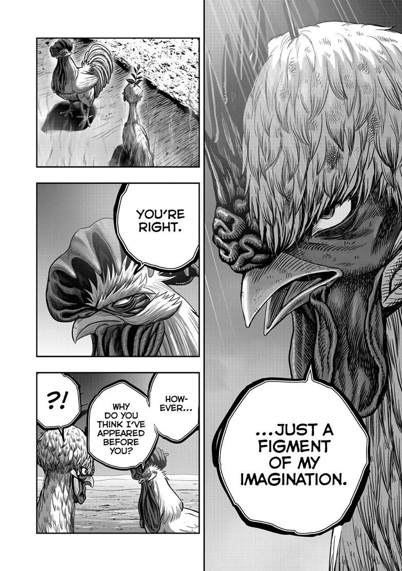 Rooster Fighter chapter 50 page 36