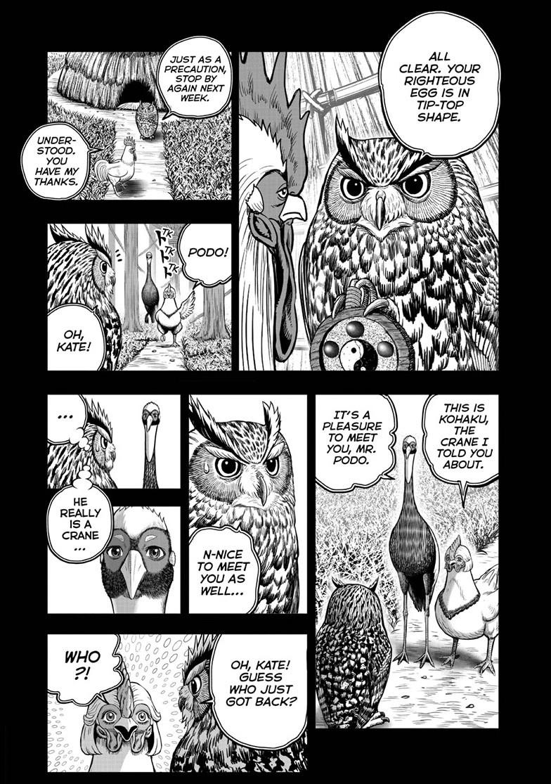 Rooster Fighter chapter 52 page 5