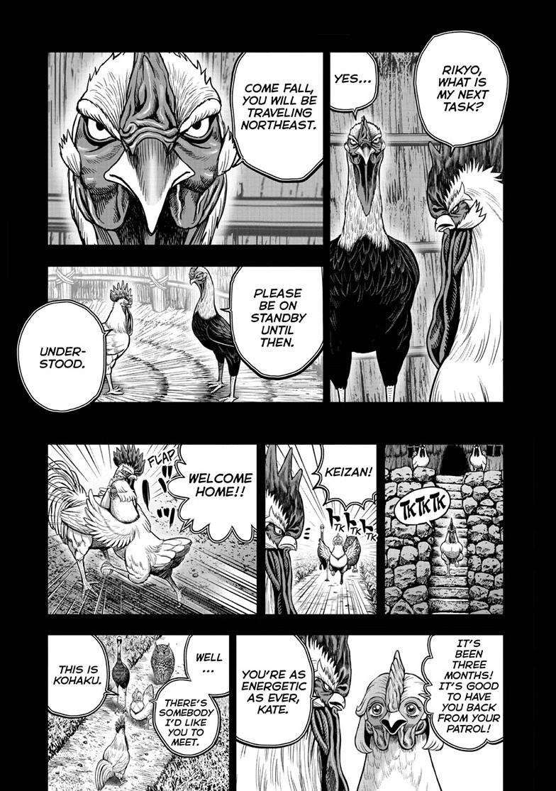 Rooster Fighter chapter 52 page 7