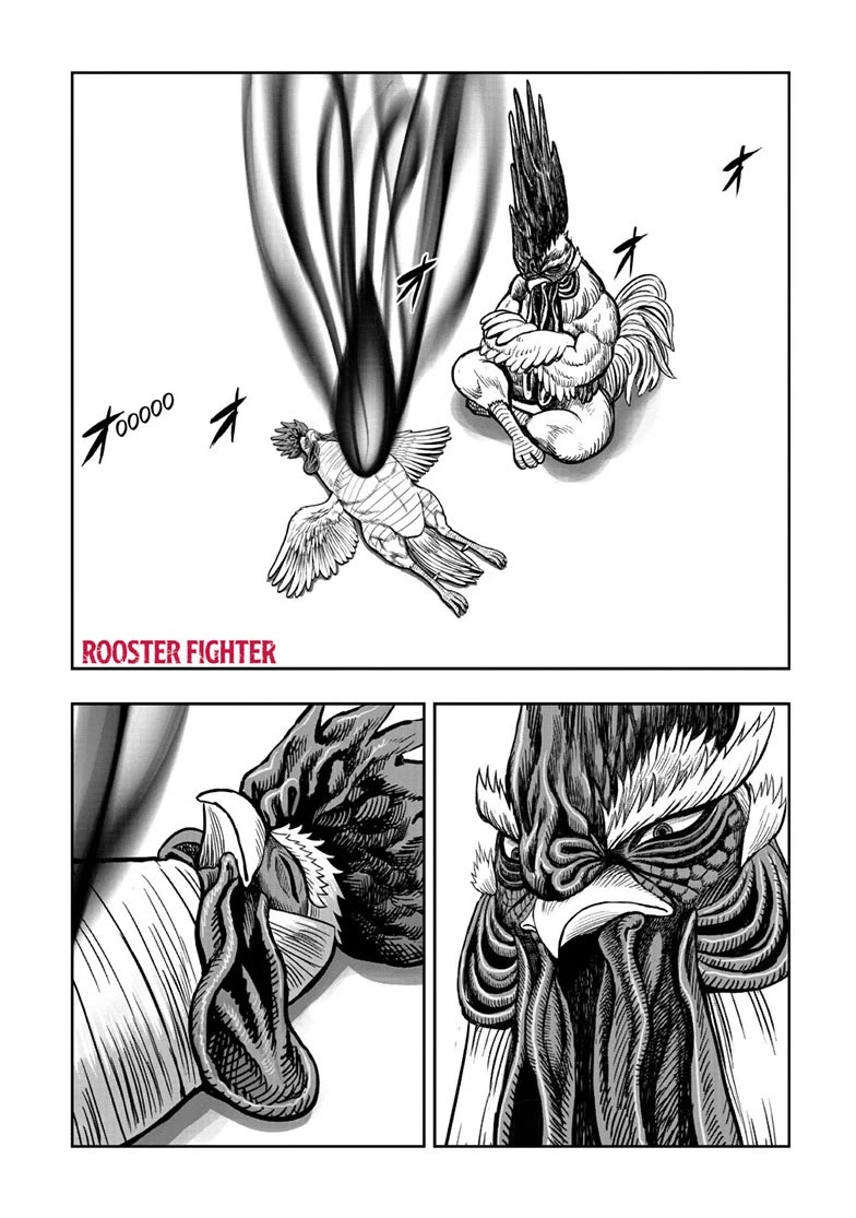 Rooster Fighter chapter 56 page 1