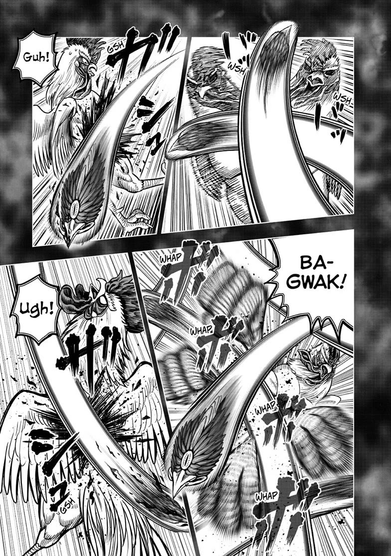 Rooster Fighter chapter 56 page 11