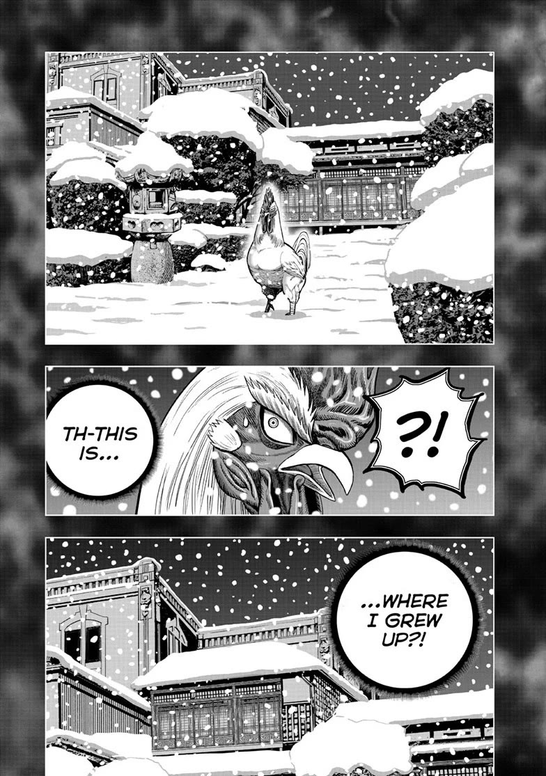 Rooster Fighter chapter 56 page 15