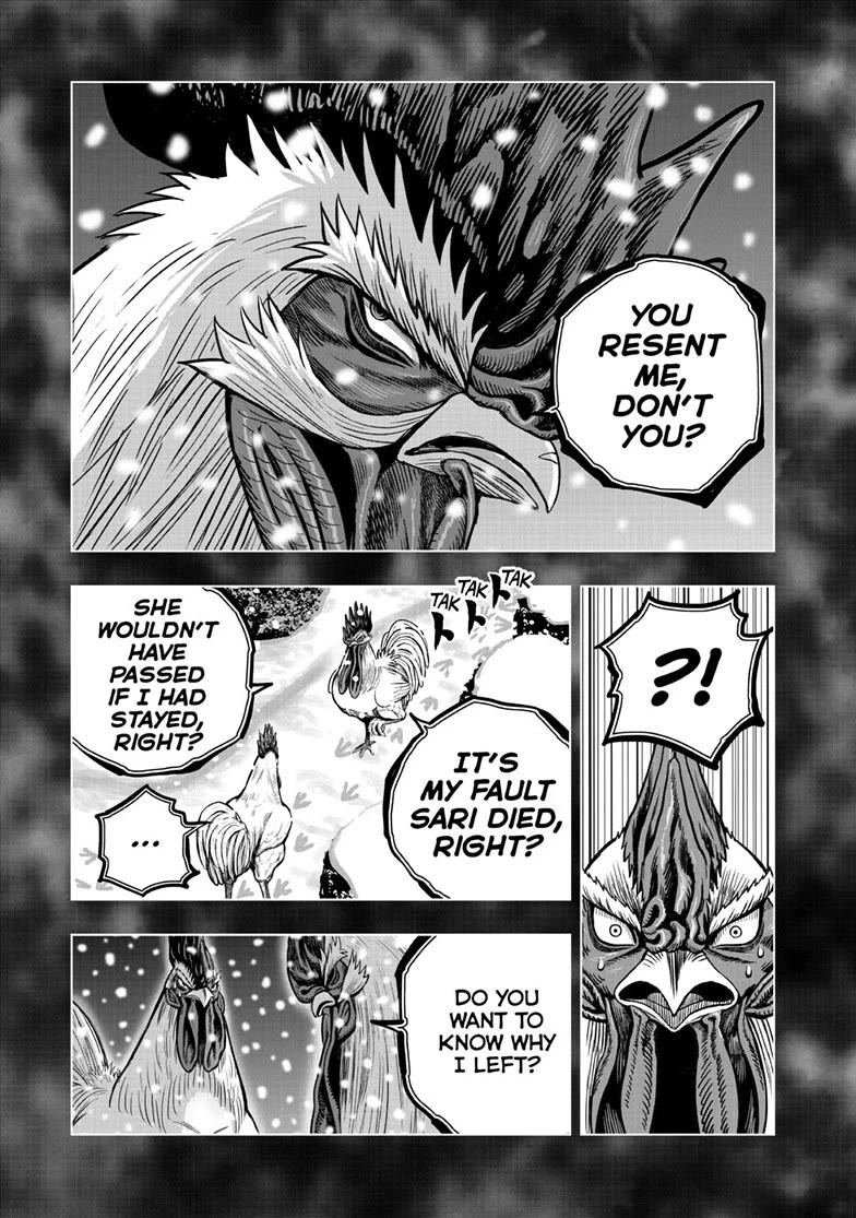 Rooster Fighter chapter 56 page 17