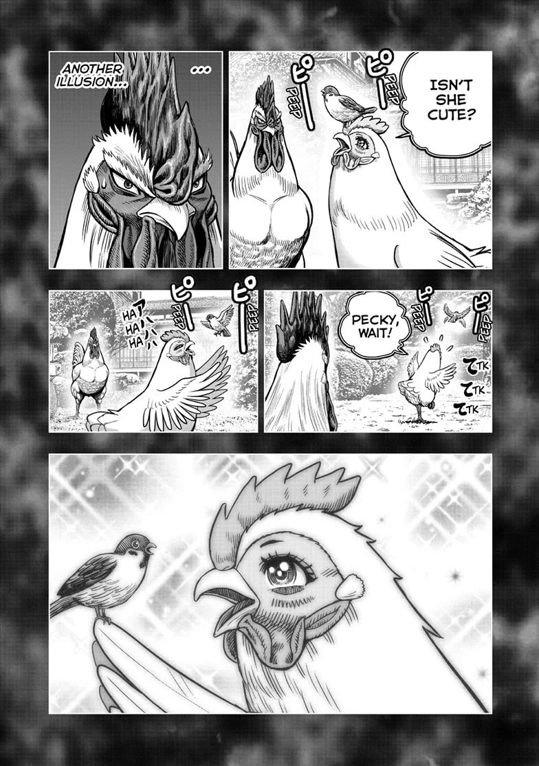 Rooster Fighter chapter 56 page 22