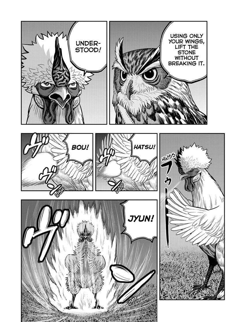 Rooster Fighter chapter 57 page 2
