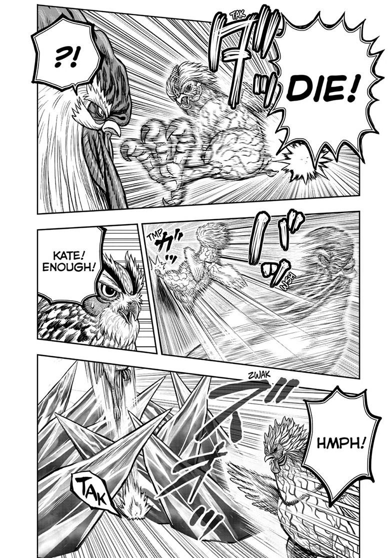 Rooster Fighter chapter 61.1 page 30