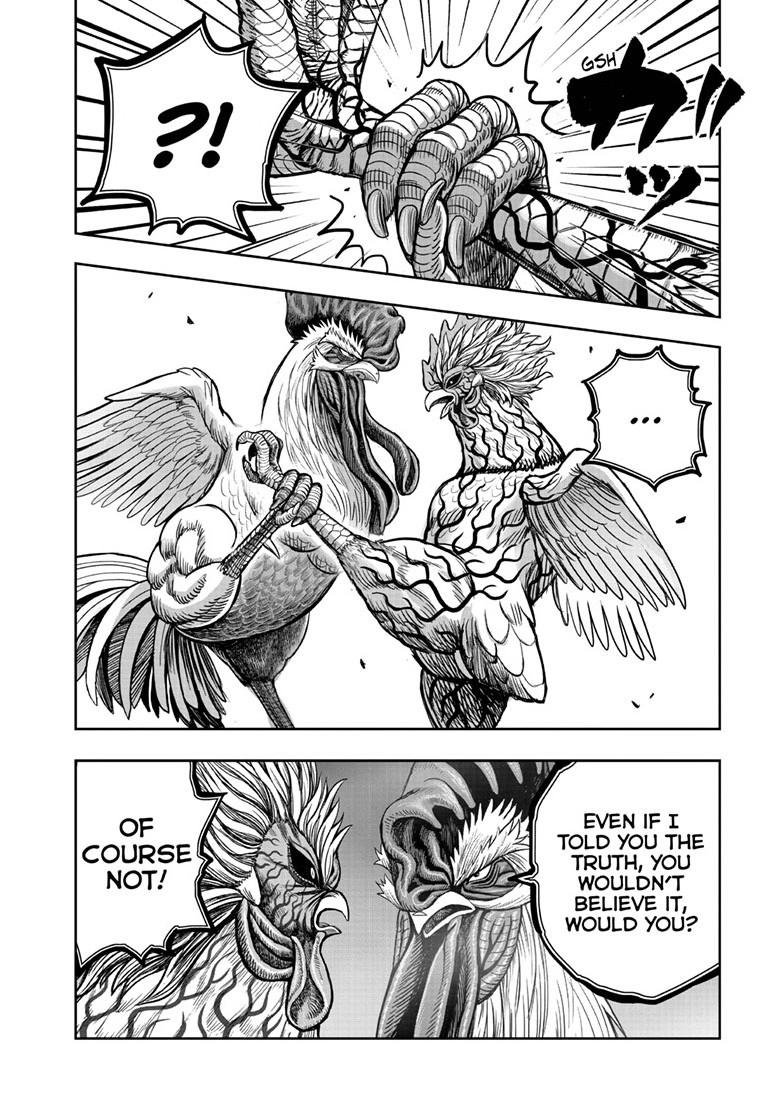 Rooster Fighter chapter 61.1 page 32