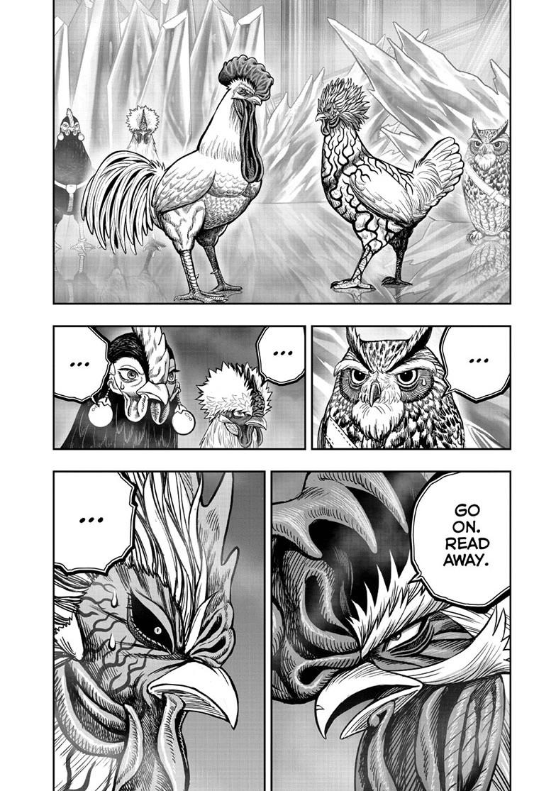 Rooster Fighter chapter 61.1 page 34