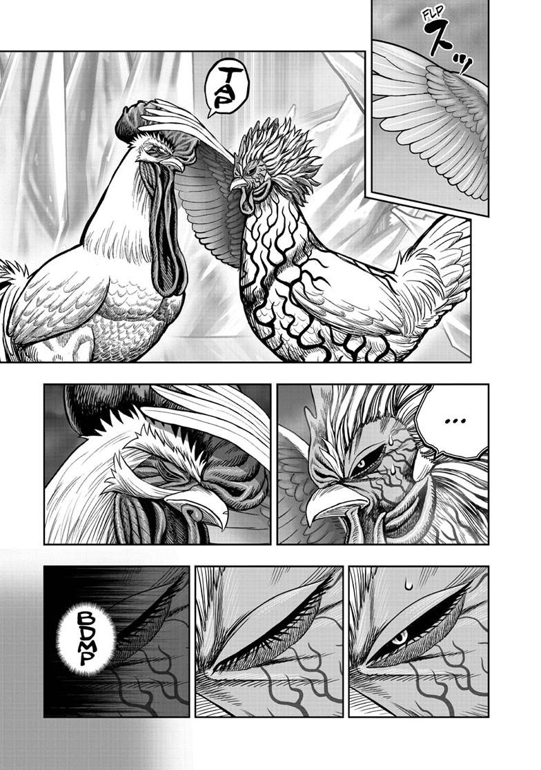 Rooster Fighter chapter 61.1 page 35