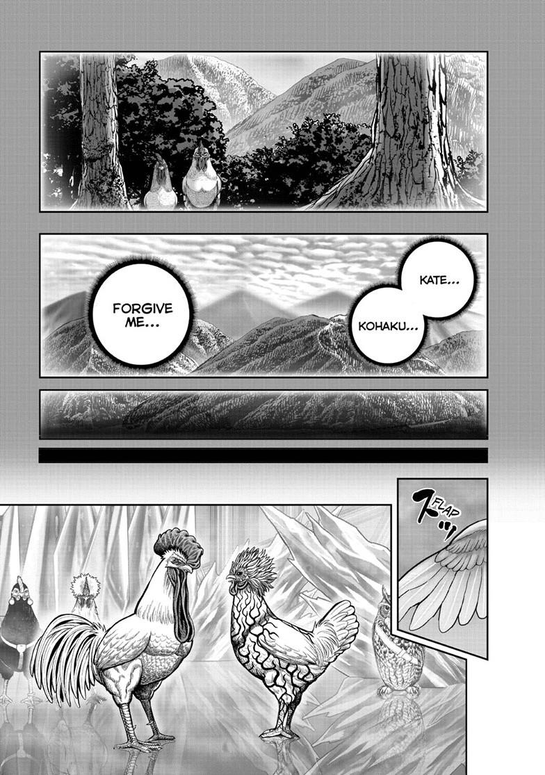 Rooster Fighter chapter 61.1 page 47