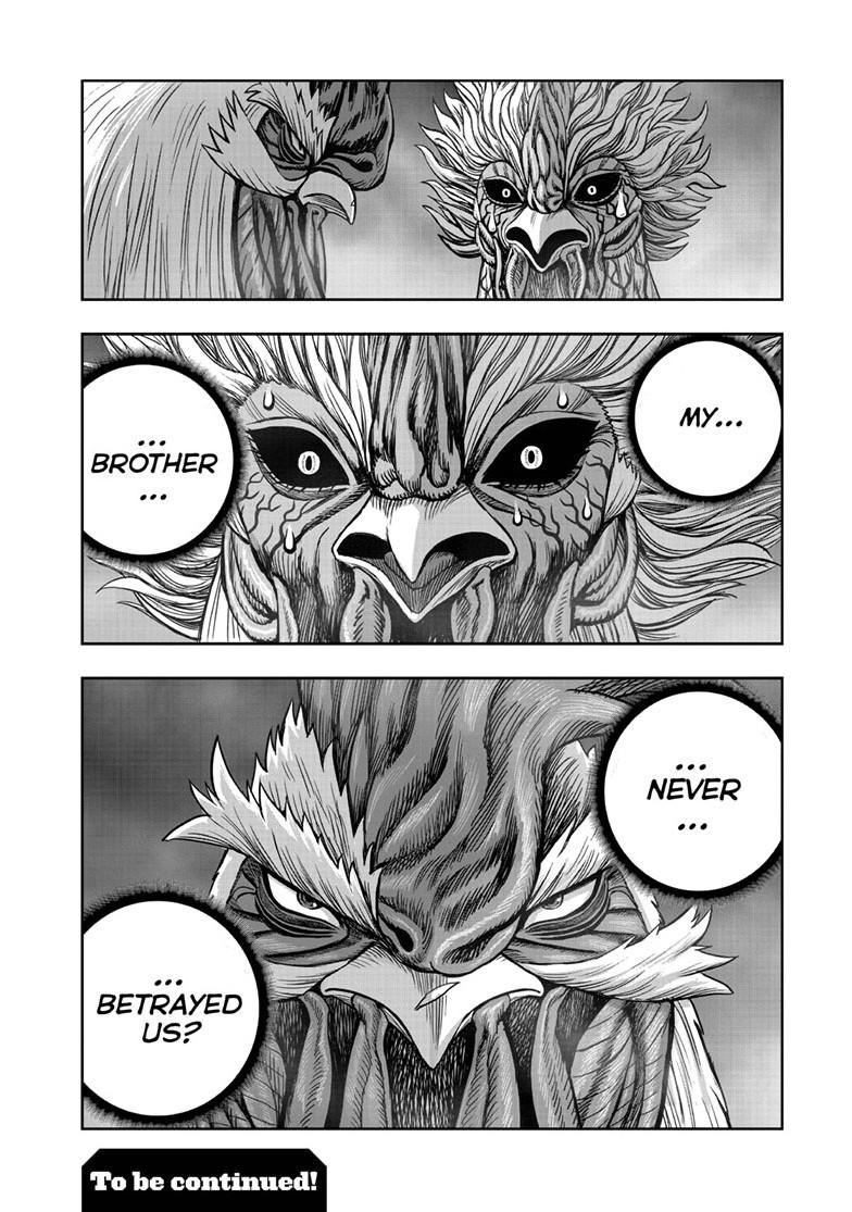 Rooster Fighter chapter 61.1 page 48